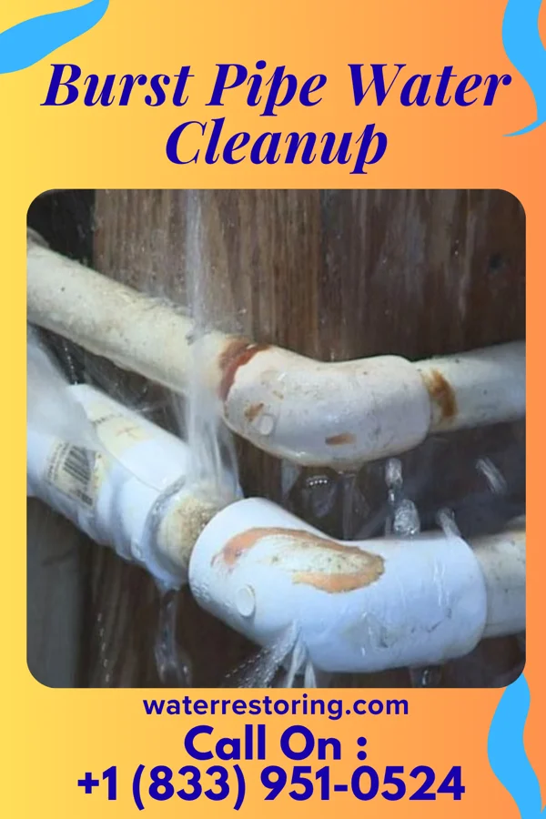 Burst Pipe Water Cleanup in Grosse Pointe, MI