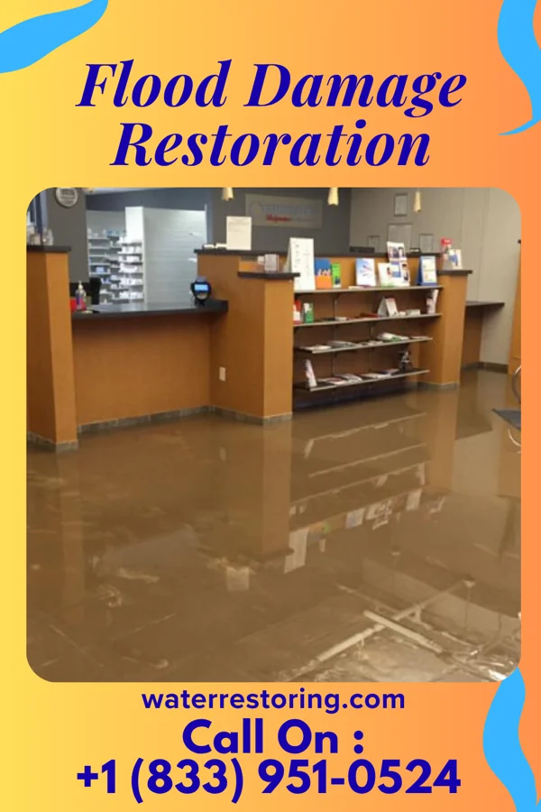 Flood Damage Restoration in Grosse Pointe, MI