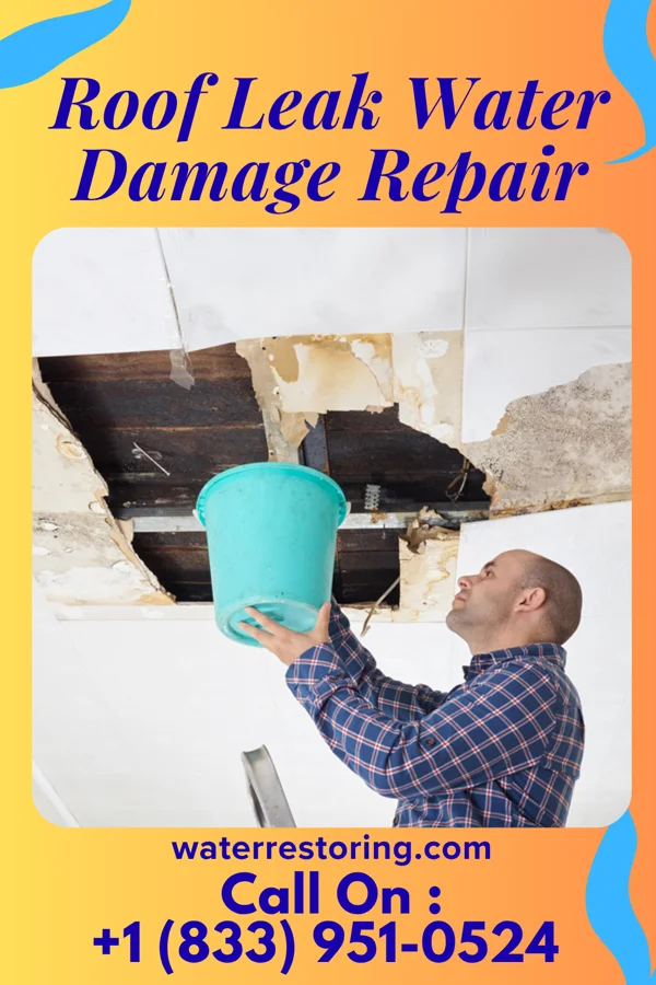 Roof Leak Water Damage Repair in Grosse Pointe, MI