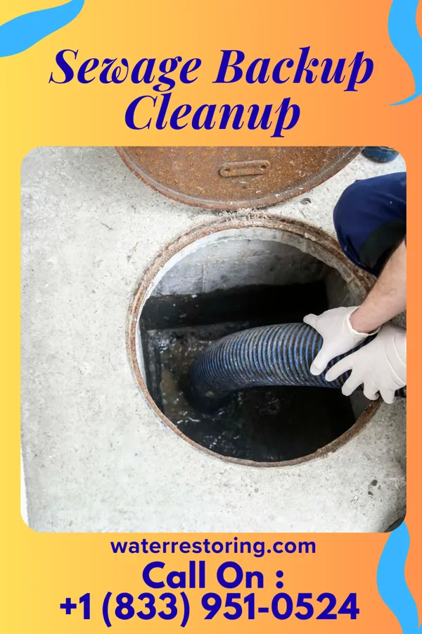 Sewage Backup Cleanup in Grosse Pointe, MI
