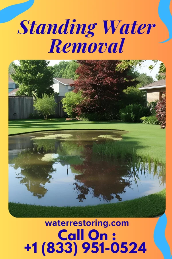 Standing Water Removal in Grosse Pointe, MI
